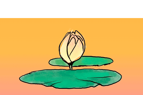GIF lotus